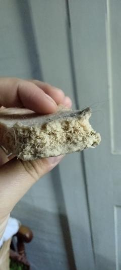 Close up of texture after my aggressive chewer had been working on the antler.