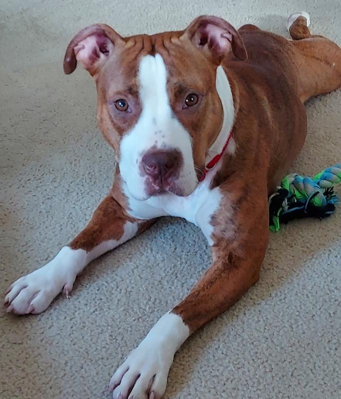 BellaBoop!!