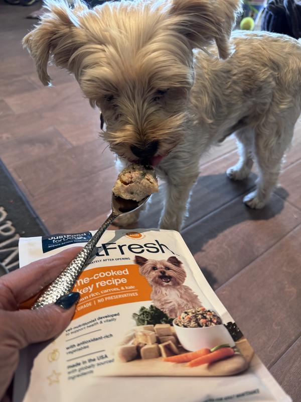 Maddux giving his new food a taste