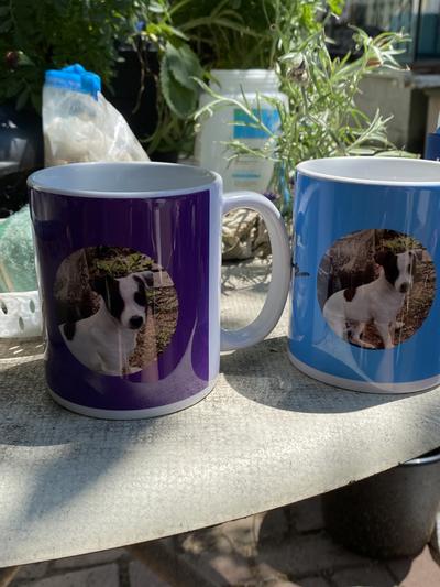 Purple is husband and Blue of course is mine