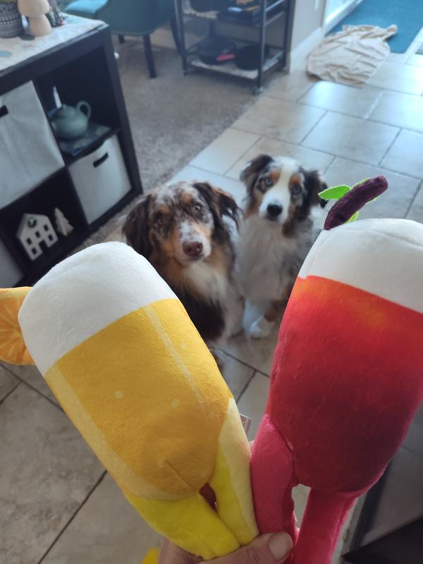 Excited to try new toys!