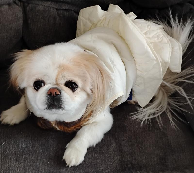 Me in my pretty dress coat!