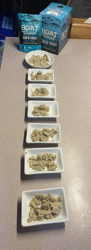 Treat in dishes lined up