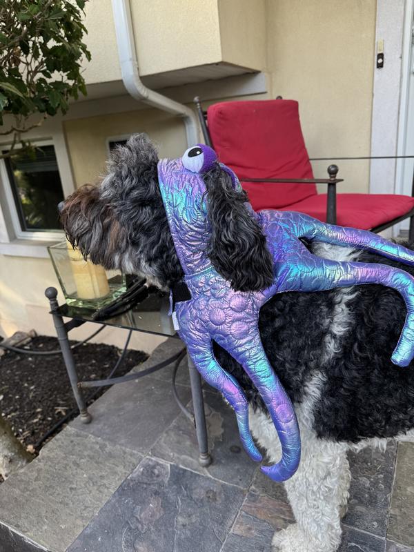 Sherlock the dog-topus!