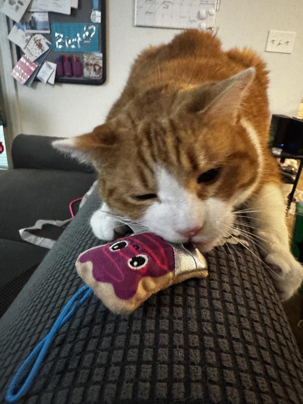 Quirky Kitty Flingin' Purr Tarts Plush Launcher Cat Toy, 2 count