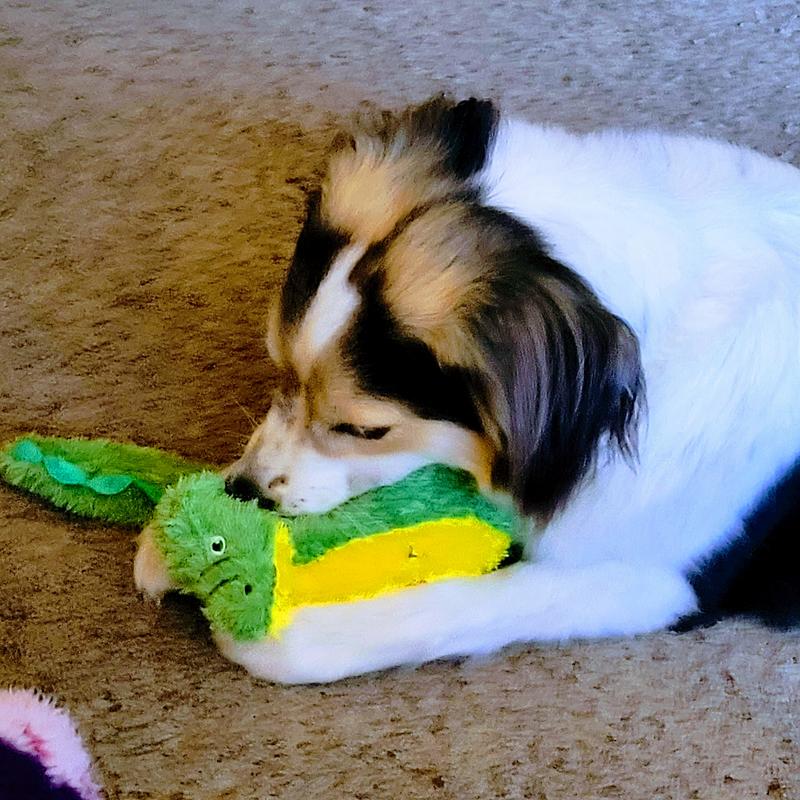 Snuffling Plushie Good times