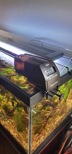 Aqua one store automatic fish feeder