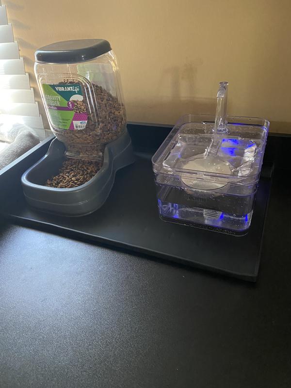 PetNF Transparent Cat Water Drinking Fountain