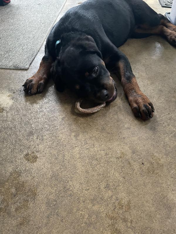 She’s in love with these peanut butter treats