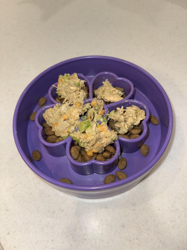 Roasted Chicken Entree on dog food