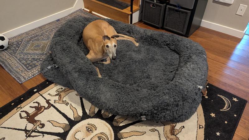 Large dog only taking up one half of the bed in bed mode