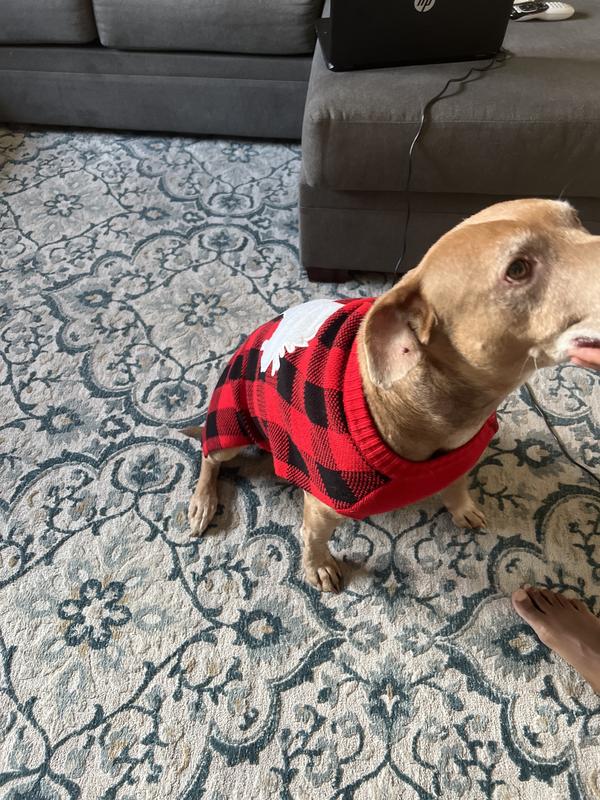 Frisco Plaid Moose Dog & Cat T-shirt