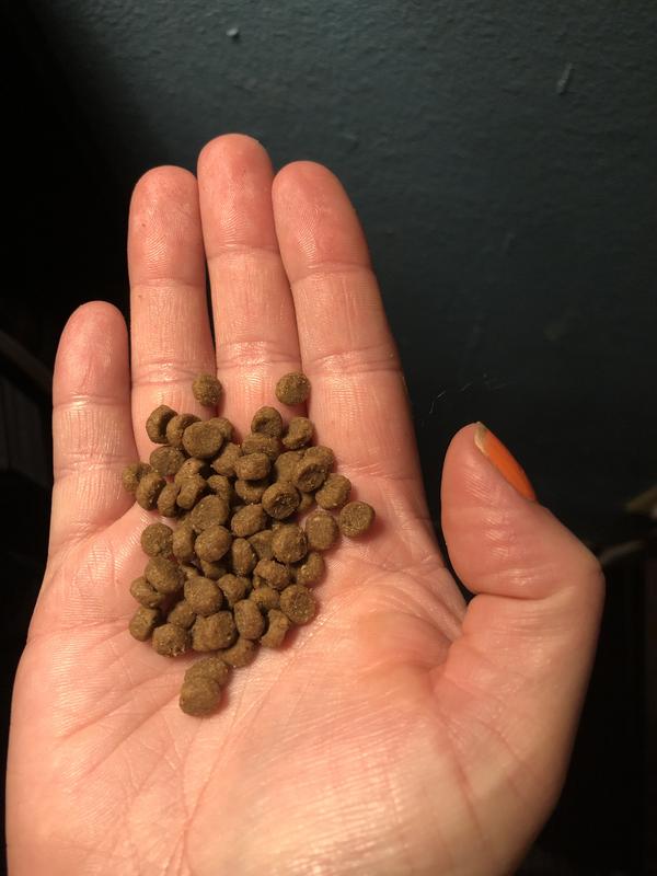 GO! SOLUTIONS Digestion + Gut Health Chicken Recipe with Ancient Grains