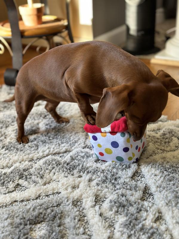 P.L.A.Y. Pet Lifestyle & You Puppy Love Collection Set Dog Toy