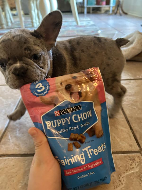 Healthy Start Chewy Purina Puppy Chow French Bulldog Best Treats