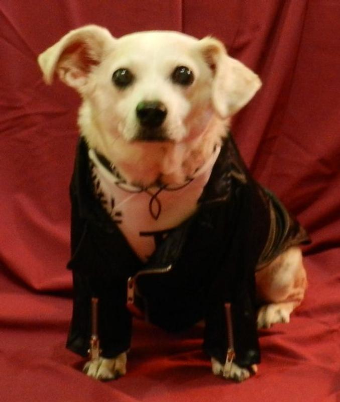 Such a handsome boy!