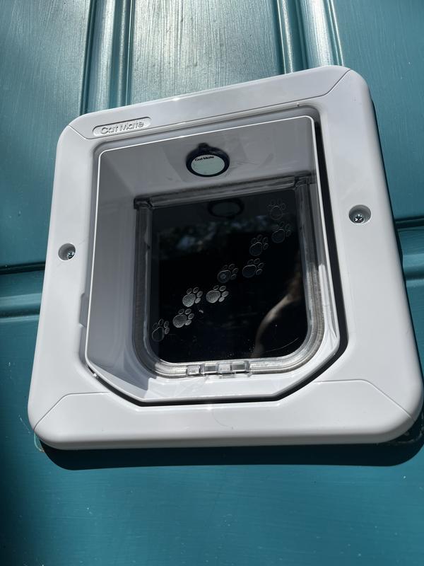 Tag was attached to the door