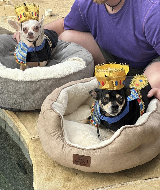 Pharo and Cleopatra on their thrones