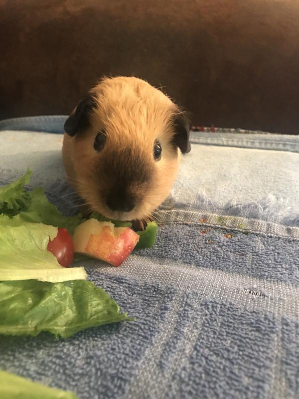 Breakfast time, yum.