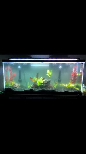 Next day in the morning