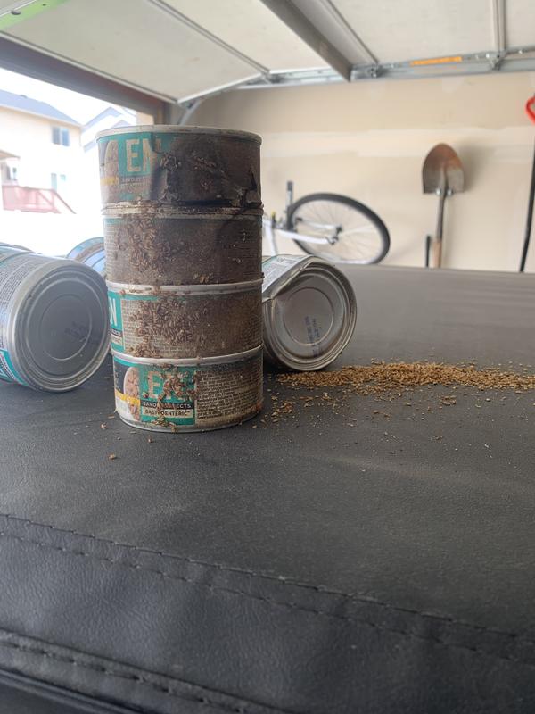 Bug Infested cans of food