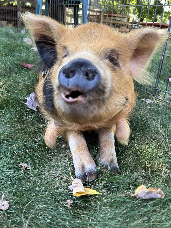 Kevin Loves Kalmbach!!