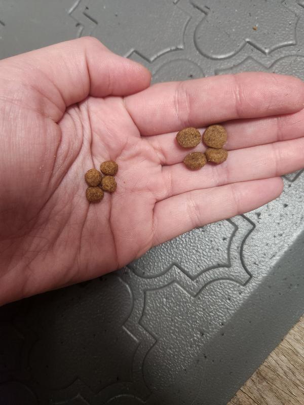 Smaller are the first bags I received, larger are the second bags