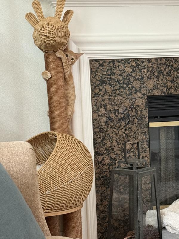 Functional and cute
