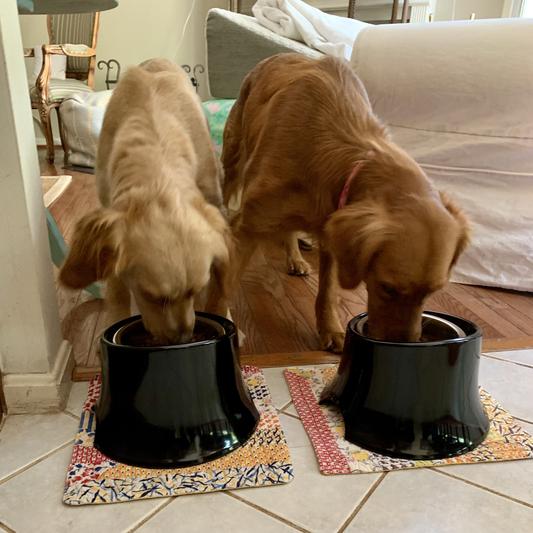 My girls and their bowls from Chewy!