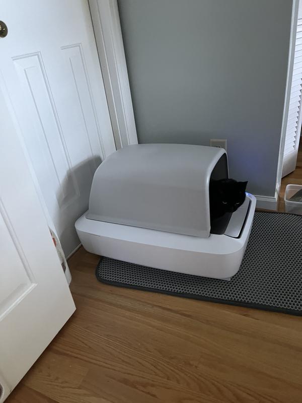 Stevie is a regular user!