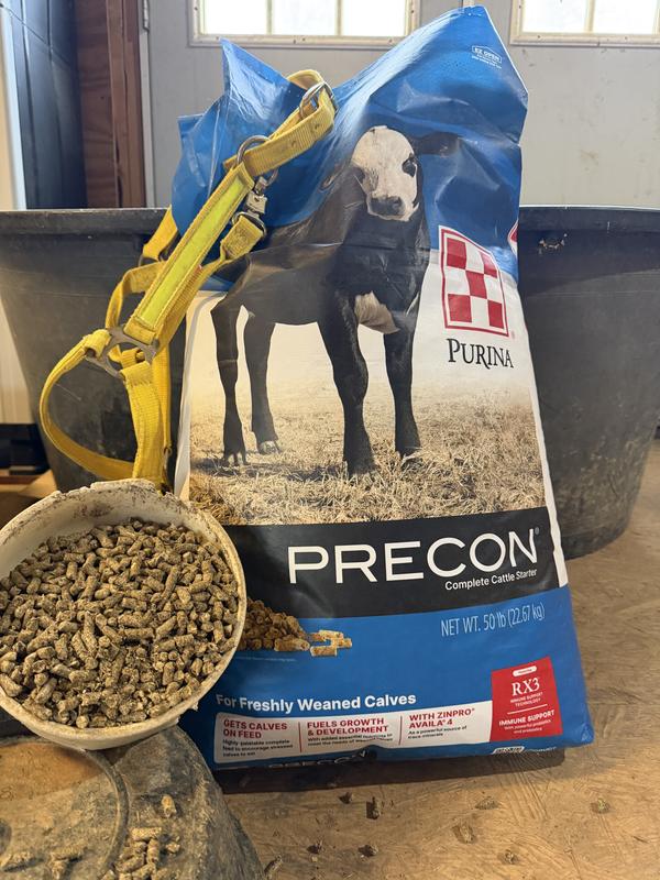Purina Precon Complete RX3 Pellets Cattle Feed, 50-lb bag - Chewy.com