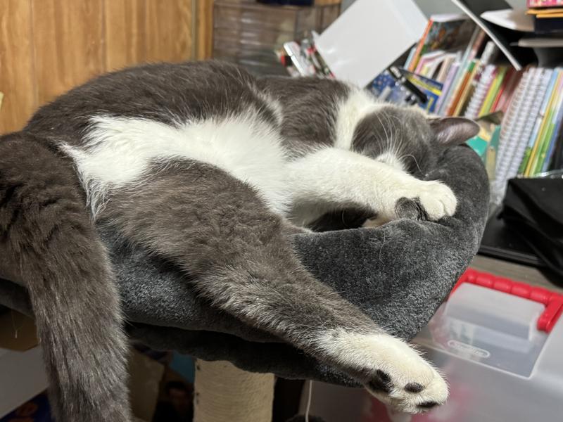 Bing stretching out…