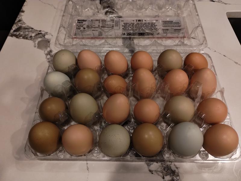 Yummy eggs