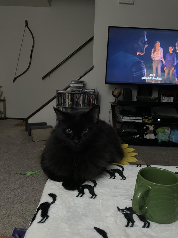 Buddha sitting on it