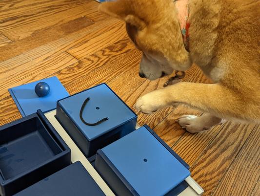Trixie Dog Activity Poker Box Strategy Game - Dog Toys - HugglePets