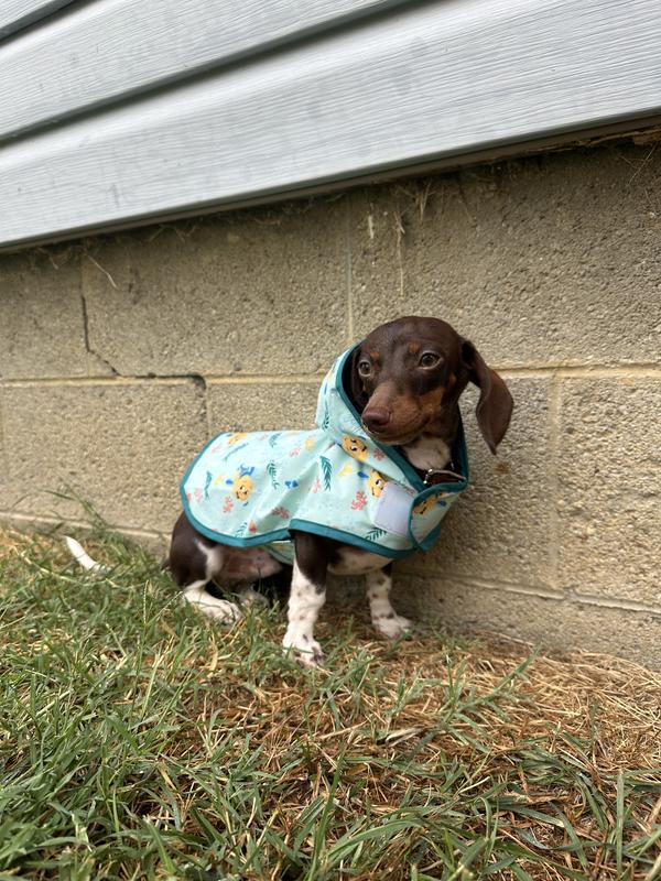 Little man approved!