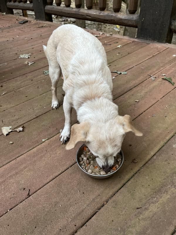 My senior princess, Grace, gets the food.