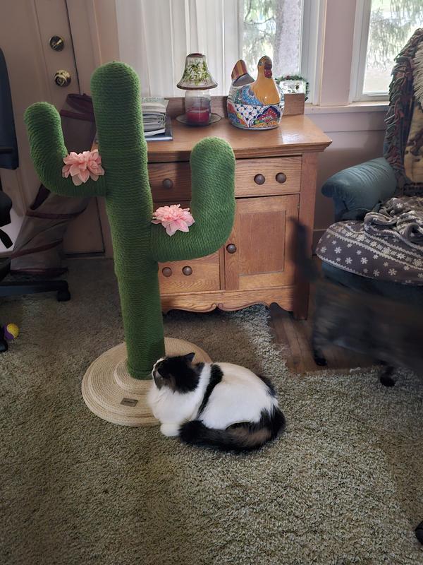 Panda checking out the new tree