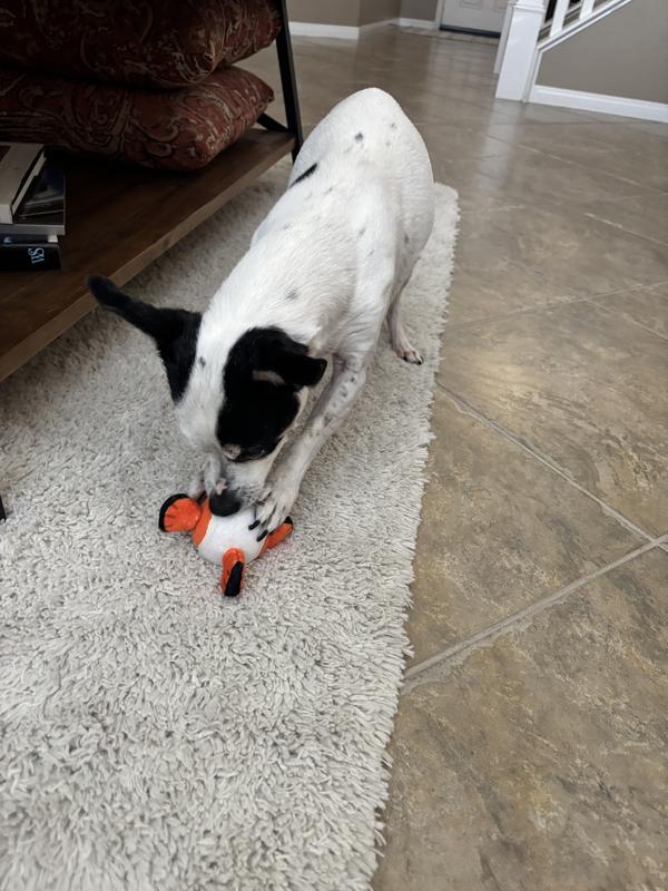 She gravitated right to it!