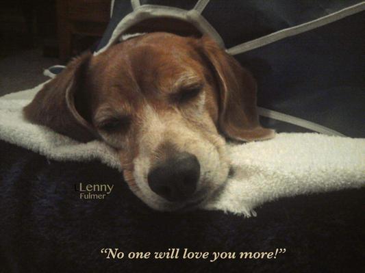After surgery-November 2010 - 3 -1/2 years -Nobody will love you more!