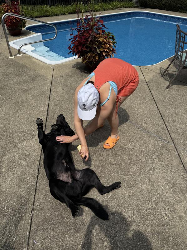 2 out of 3 dogs approve