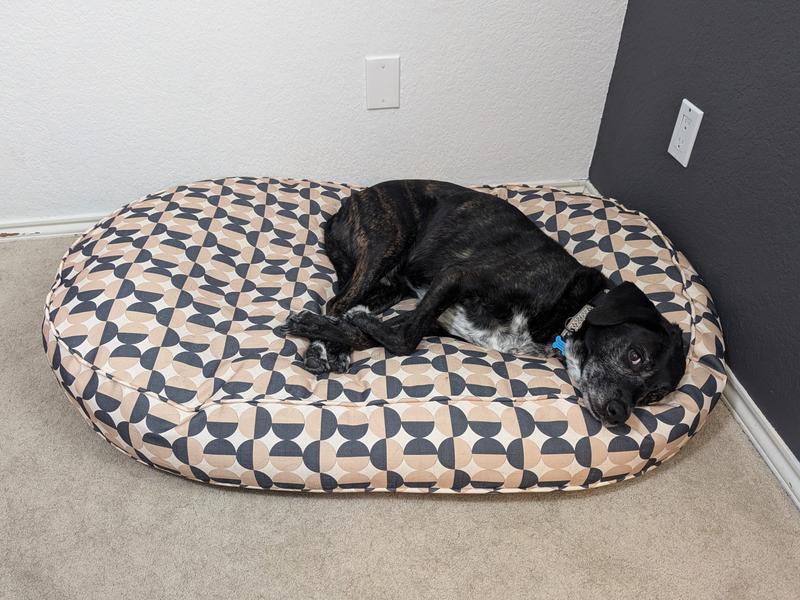 Favorite spot in the house