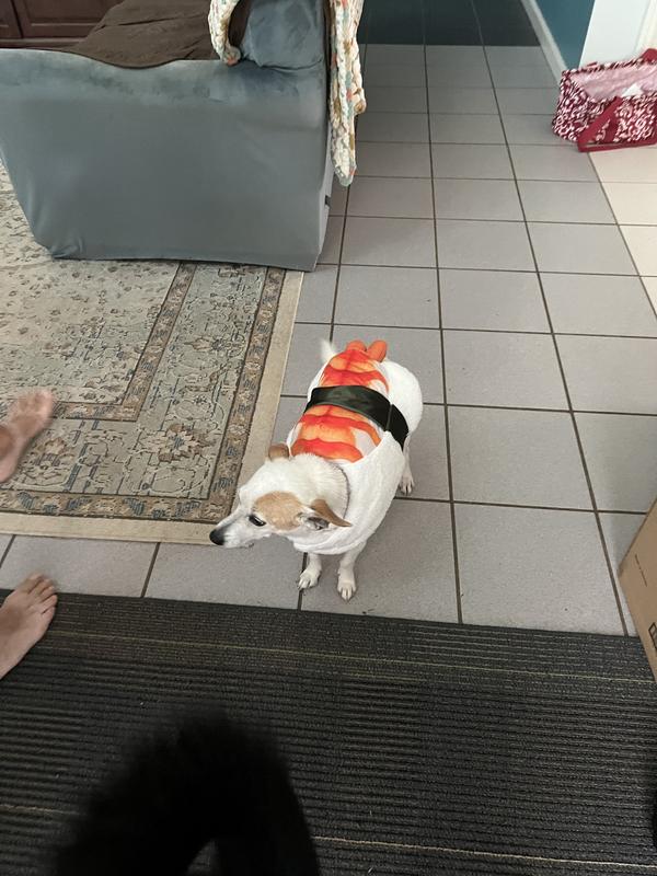 Sushi Daisy