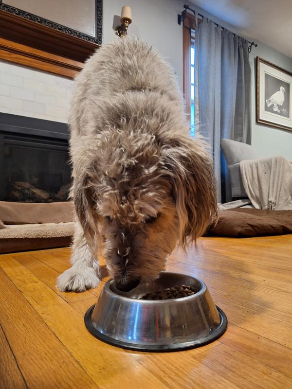 How come brekky is so good today?