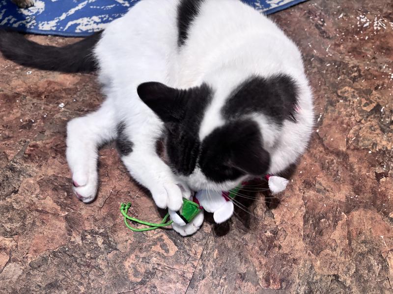 Well Made, & Colorful!