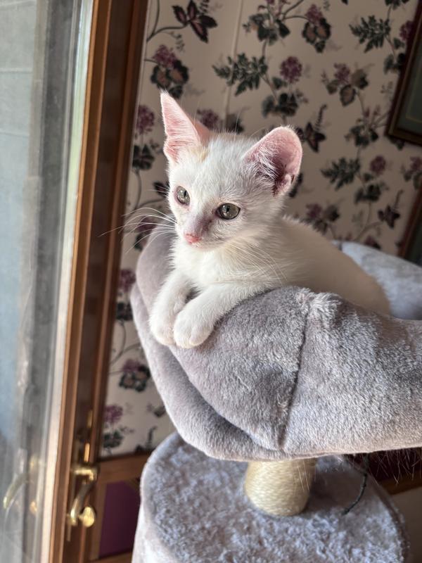 Suzy investigating her new surroundings.