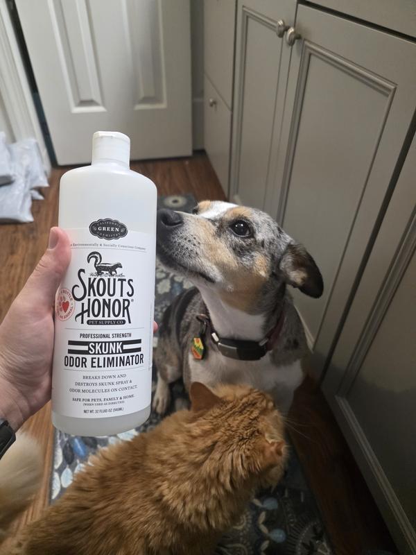 No regrets from Celly