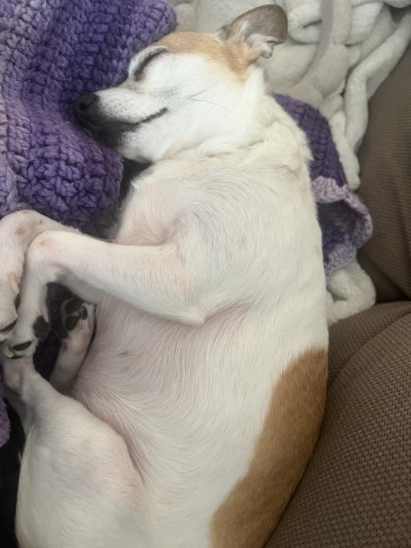 Sleeps well and plays hatd