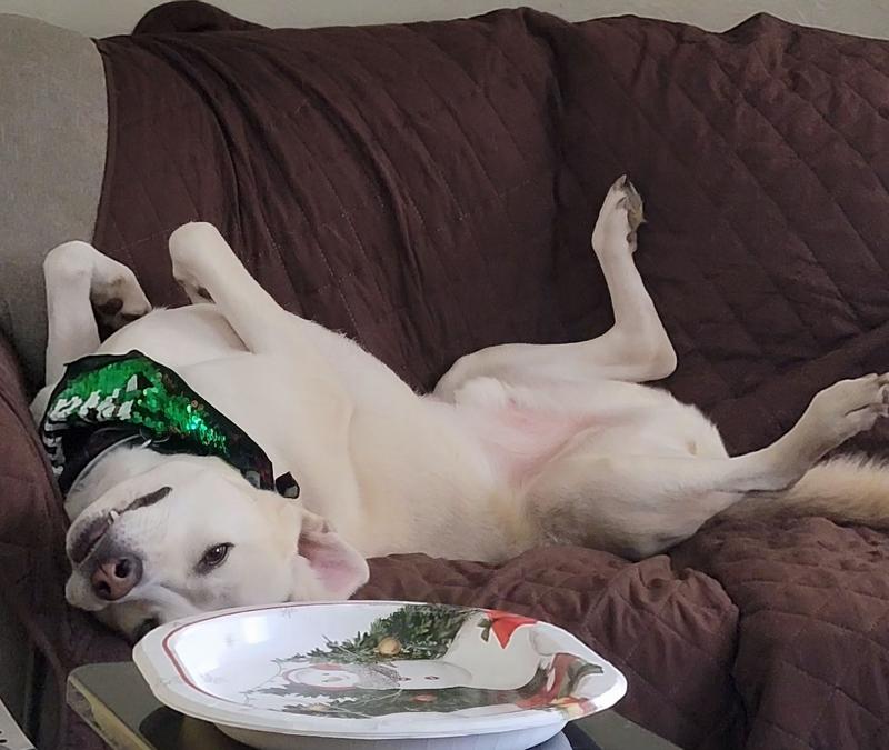 Wiped out from playing with all the kids.