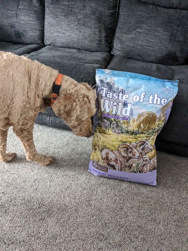 TASTE OF THE WILD Ancient Mountain with Ancient Grains Dry Dog